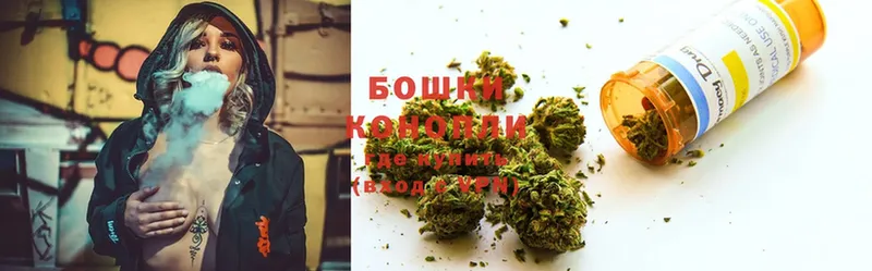 Конопля SATIVA & INDICA  купить наркотики цена  Пыталово 